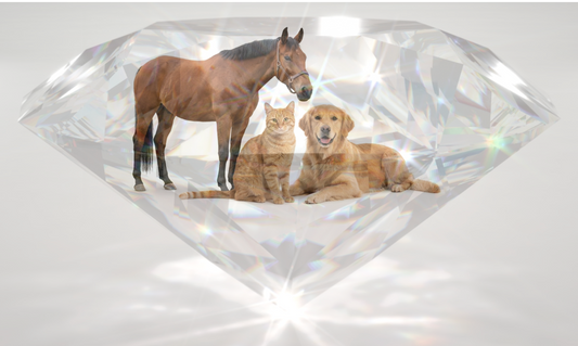Diamond Therapy for Animals (Dogs, Cats, and Horses): 60 minutes