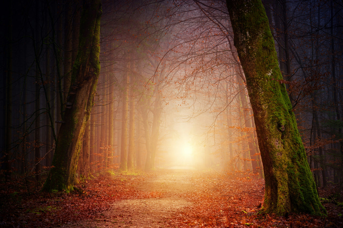 60-minute Remote Diamond Therapy Session